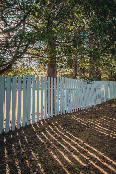 Backyard with metal fencing