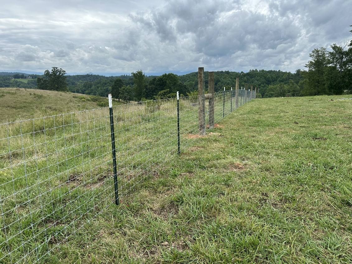 field fencing on t-posts in western north carolina